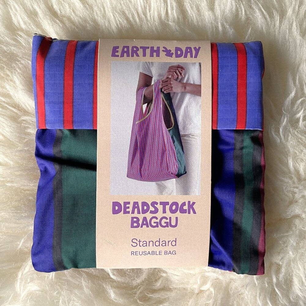 NWT Standard Baggu - Deadstock Fancy Stripes